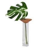 VB01B-VASO-BAOBA-PLUG-DESIGN