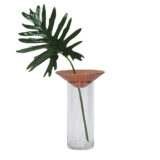 Vaso Baobá da Plug Design em madeira maciça e vidro transparente com folhas verdes