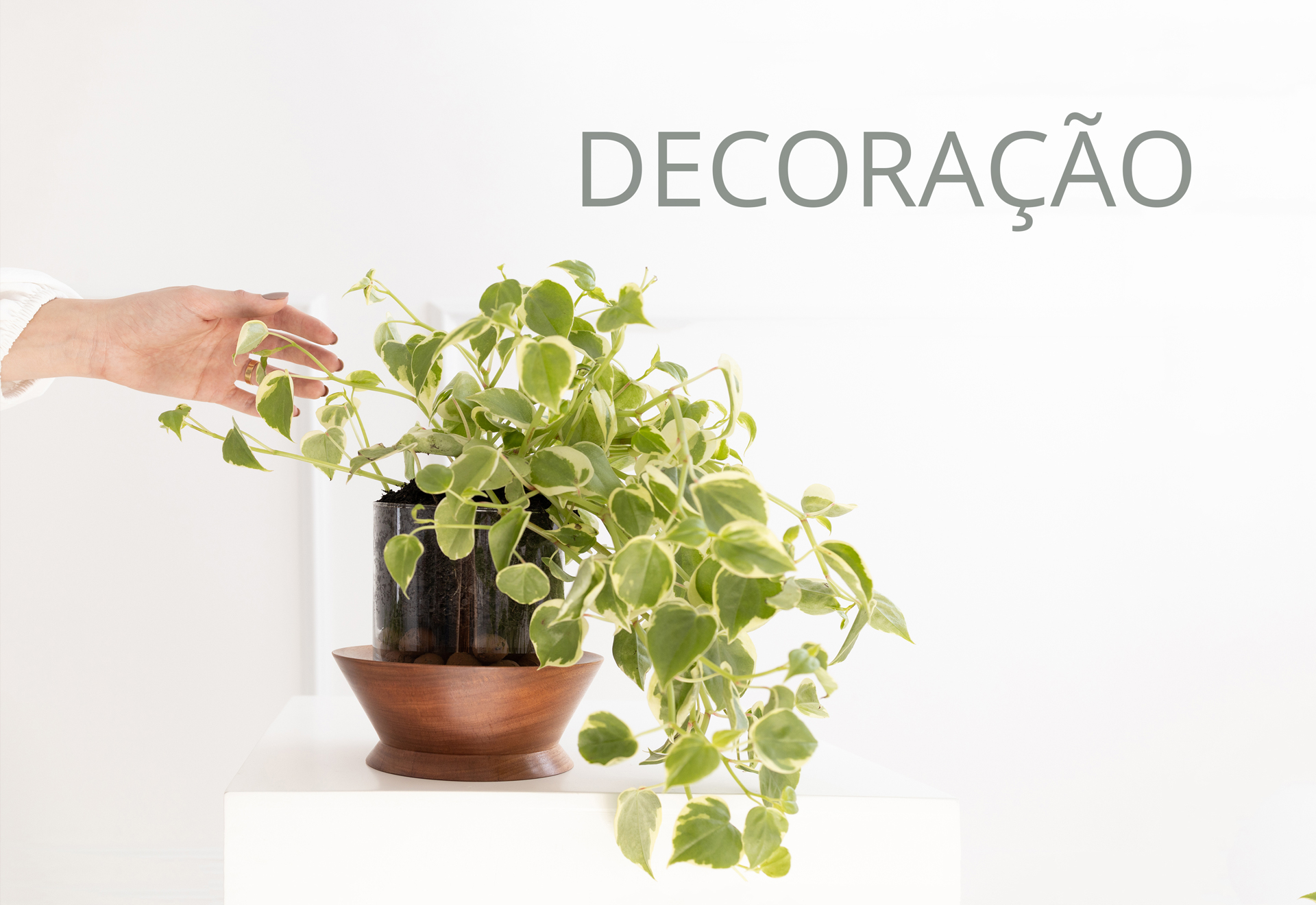decoração plug design madeira maciça design autoral contemporâneo